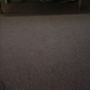 Meet your Posher, Shaun